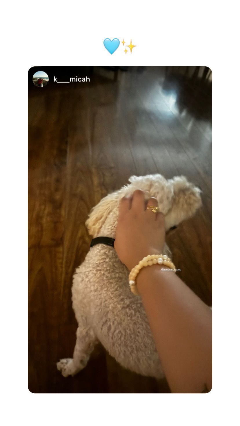Uploaded Image